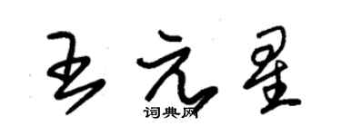 朱錫榮王元星草書個性簽名怎么寫