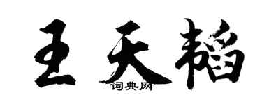 胡問遂王天韜行書個性簽名怎么寫