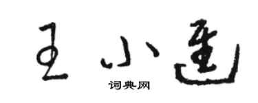 駱恆光王小進草書個性簽名怎么寫