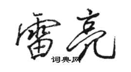 駱恆光雷亮行書個性簽名怎么寫