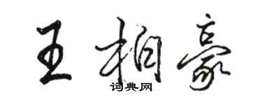 駱恆光王柏豪行書個性簽名怎么寫