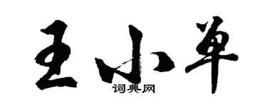 胡問遂王小單行書個性簽名怎么寫