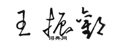 駱恆光王振歡草書個性簽名怎么寫