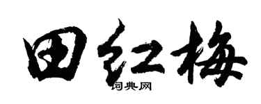 胡問遂田紅梅行書個性簽名怎么寫