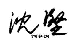 朱錫榮沈堅草書個性簽名怎么寫