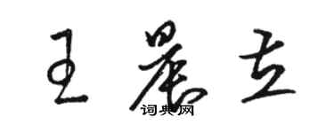 駱恆光王晨立草書個性簽名怎么寫