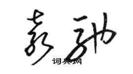 駱恆光袁馳草書個性簽名怎么寫