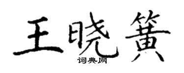 丁謙王曉簧楷書個性簽名怎么寫
