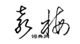 駱恆光袁梅草書個性簽名怎么寫