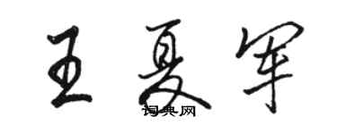 駱恆光王夏軍行書個性簽名怎么寫