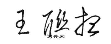 駱恆光王聯想草書個性簽名怎么寫