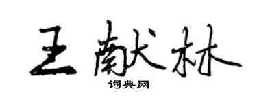 曾慶福王獻林行書個性簽名怎么寫