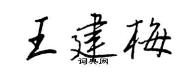 王正良王建梅行書個性簽名怎么寫