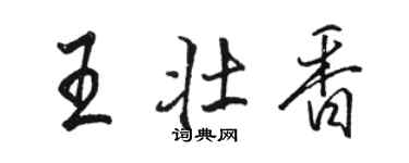 駱恆光王壯香行書個性簽名怎么寫