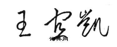 駱恆光王宜凱草書個性簽名怎么寫