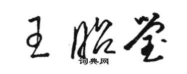 駱恆光王昭瑩草書個性簽名怎么寫