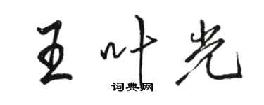 駱恆光王葉光行書個性簽名怎么寫