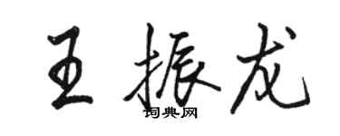 駱恆光王振龍行書個性簽名怎么寫