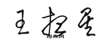 駱恆光王想星草書個性簽名怎么寫