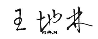 駱恆光王地林草書個性簽名怎么寫