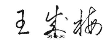 駱恆光王成梅草書個性簽名怎么寫