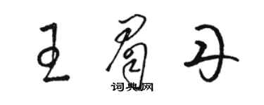 駱恆光王眉丹草書個性簽名怎么寫