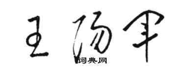 駱恆光王陽軍草書個性簽名怎么寫