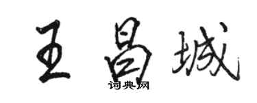 駱恆光王昌城行書個性簽名怎么寫