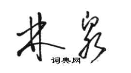 駱恆光林泉草書個性簽名怎么寫