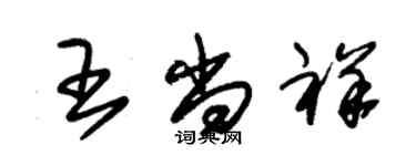 朱錫榮王尚祥草書個性簽名怎么寫