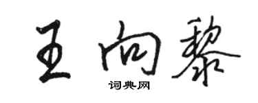 駱恆光王向黎行書個性簽名怎么寫