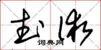 朱錫榮武術草書怎么寫