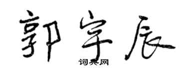 曾慶福郭宇辰行書個性簽名怎么寫