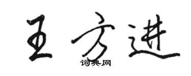 駱恆光王方進行書個性簽名怎么寫