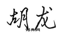 駱恆光胡龍行書個性簽名怎么寫