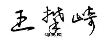 曾慶福王攀崎草書個性簽名怎么寫