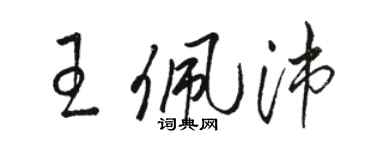 駱恆光王佩沛草書個性簽名怎么寫