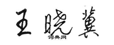 駱恆光王曉冀行書個性簽名怎么寫