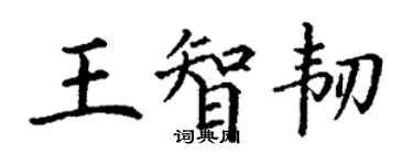 丁謙王智韌楷書個性簽名怎么寫