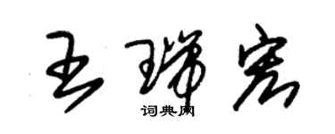 朱錫榮王瑞宏草書個性簽名怎么寫