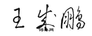 駱恆光王成鵬草書個性簽名怎么寫