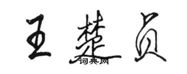 駱恆光王楚貞行書個性簽名怎么寫