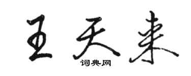駱恆光王天來行書個性簽名怎么寫