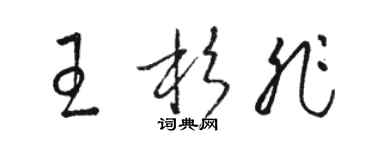 駱恆光王杉非草書個性簽名怎么寫