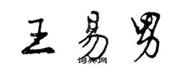 曾慶福王易男行書個性簽名怎么寫