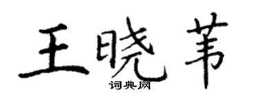 丁謙王曉葦楷書個性簽名怎么寫