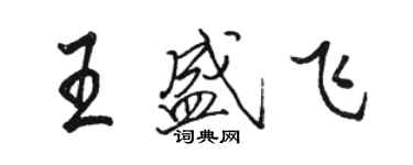 駱恆光王盛飛行書個性簽名怎么寫