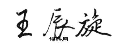 駱恆光王辰旋行書個性簽名怎么寫