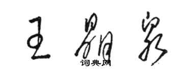 駱恆光王晶泉草書個性簽名怎么寫