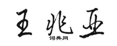 駱恆光王兆亞行書個性簽名怎么寫